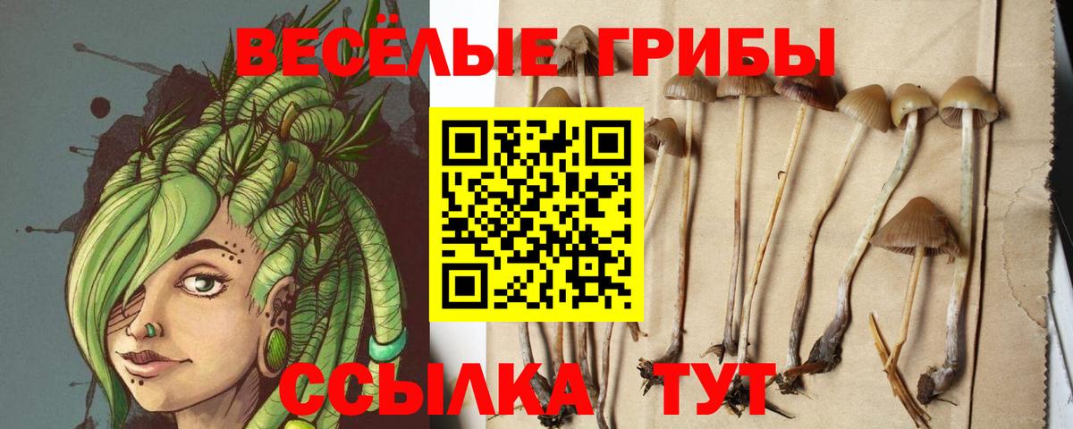 Галлюциногенные грибы GOLDEN TEACHER Кропоткин